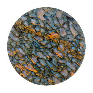 Planche À Découper Os de dinosaure pétrifié