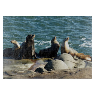 Planche À Découper Otaries de San Diego