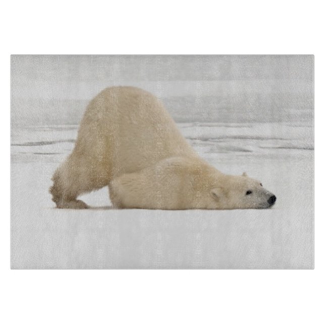 Planche À Découper Ours polaire se grattant sur la toundra gelée (Devant)