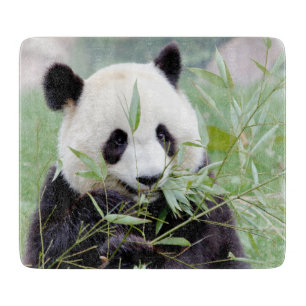 Planche à découper Panda géant photo, animaux 0147