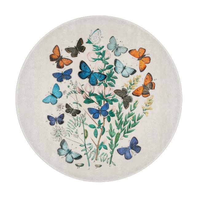 PLANCHE À DÉCOUPER PANNEAU DE CHOPPING EN VERRE : ANTIQUE IMPRIMER :  (Devant)