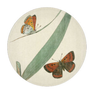 Planche À Découper Papillons colorés qui se drapent autour d'une feui
