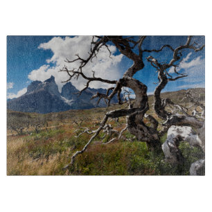 Planche À Découper Parc national de Torres del Paine, arbres endommag