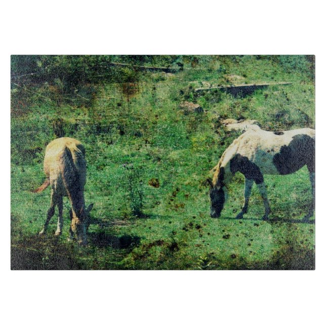 Planche À Découper Peau et Pinto Grunge (Devant)