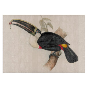 Planche À Découper Peinture animalière d'antiquités Toucans