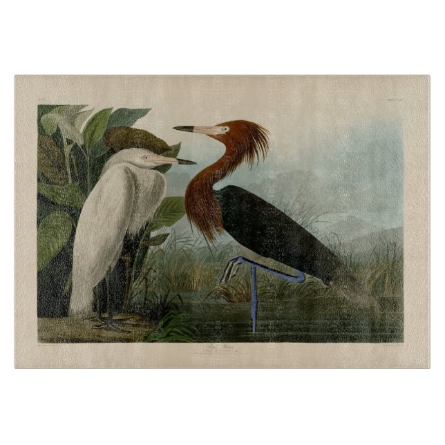 Planche À Découper Peinture de la faune d'Audubon Heron violet (Devant)