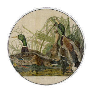 Planche À Découper Peinture d'oiseaux de Mallard Duck Audubon