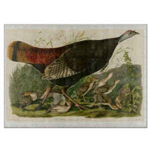 Planche À Découper Peinture d'oiseaux sauvages de Turquie Audubon