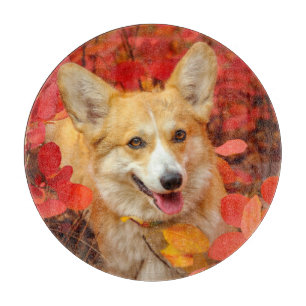 Planche À Découper Pembroke Welsh Corgi Chien chiot en Feuille rouge