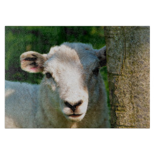 PLANCHE À DÉCOUPER PETIT MOQUETTE