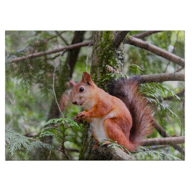 Planche À Découper Photo d'écureuil (Devant)