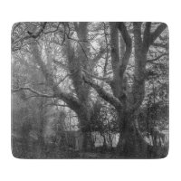 Photographie noir et blanc de la forêt éffrayante