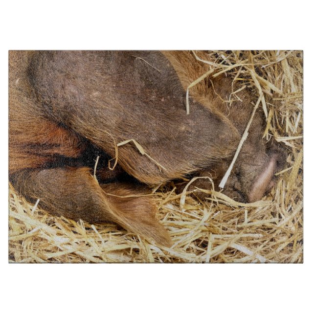 PLANCHE À DÉCOUPER PIÈCES (Devant)