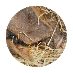 PLANCHE À DÉCOUPER PIÈCES