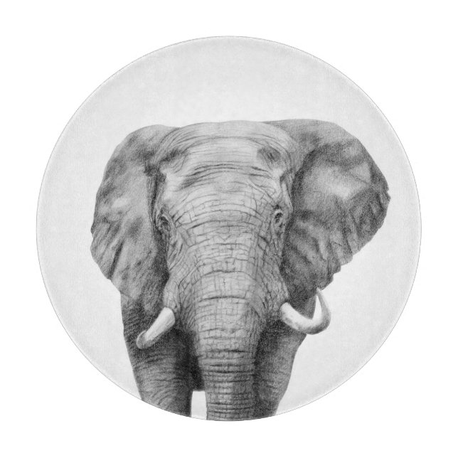 Planche À Découper Plan de sauvegarde IV (Devant)