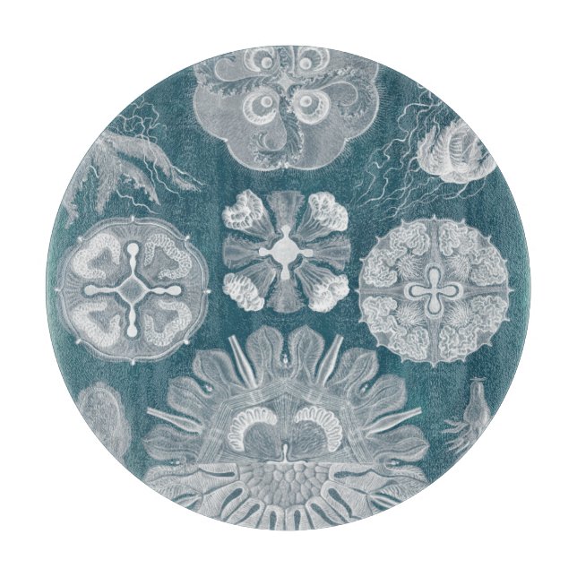 Planche À Découper Plan directeur de la vie marine IV (Devant)