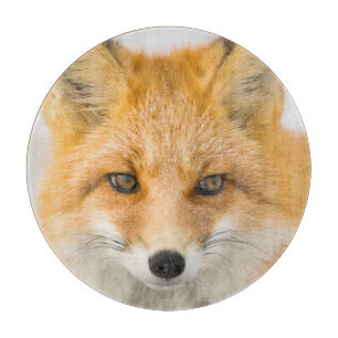Planche À Découper Portrait de renard roux