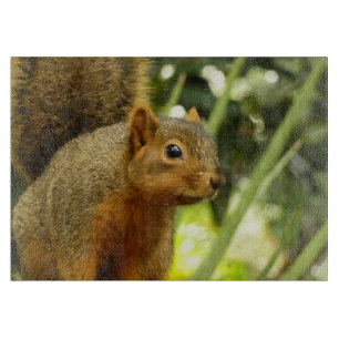 Planche À Découper Portrait d'un écureuil Photographie d'animal de na