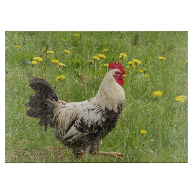 Planche À Découper poulet, coq, animal, oiseau, ferme, agriculture, (Devant)