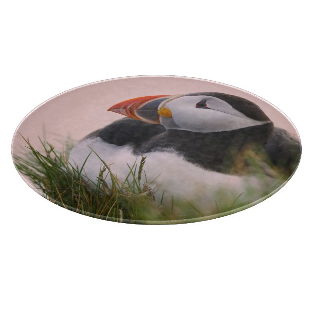 Planche À Découper Puffin de l'Atlantique (Fratercula arctica) (Coin)