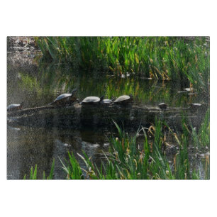 Planche À Découper Rangée de tortues Green Nature Photo