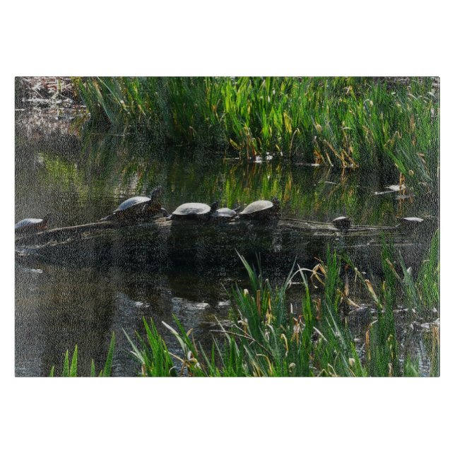 Planche À Découper Rangée de tortues Green Nature Photo (Devant)