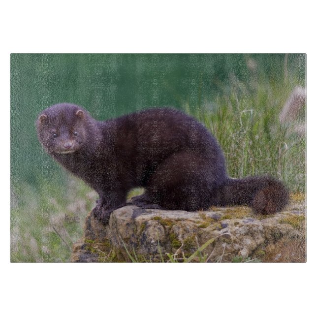Planche à découper rectangulaire de vison (Devant)