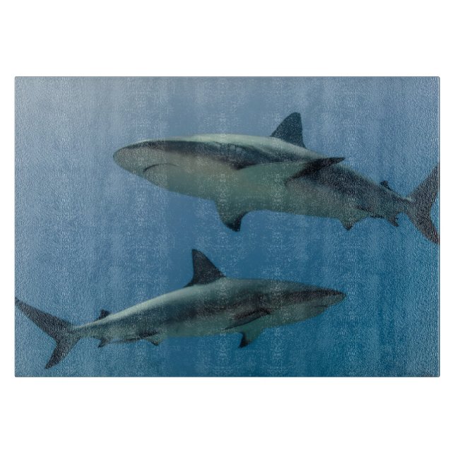 Planche À Découper Requin des Caraïbes de récif (Devant)