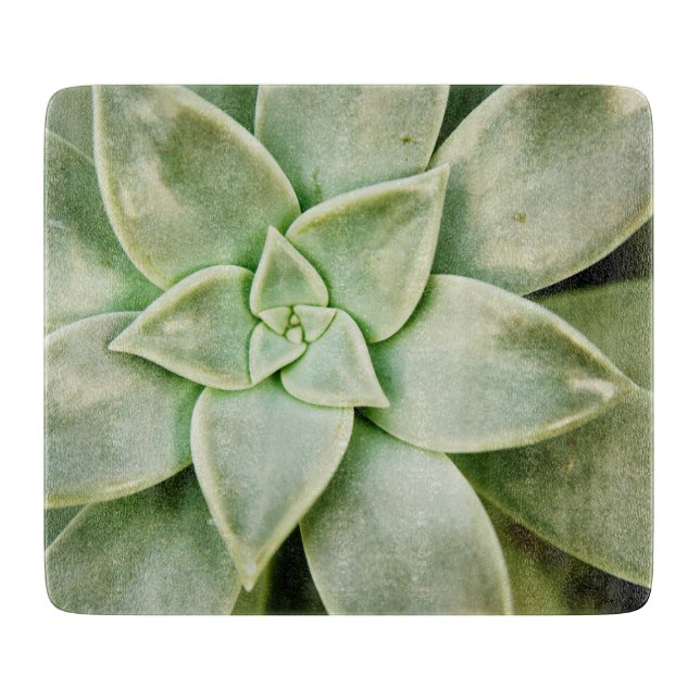 Planche À Découper Ressort Succulent (Devant)
