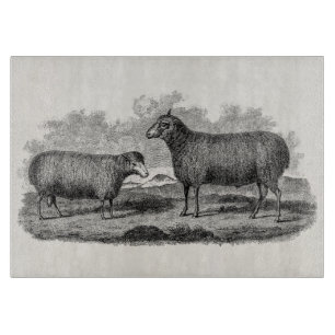 Planche À Découper Rétro ferme de 1800s de moutons d'illustration