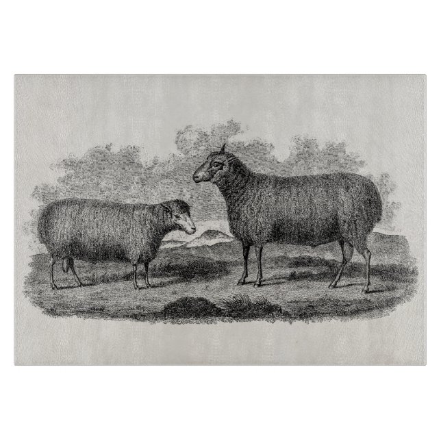 Planche À Découper Rétro ferme de 1800s de moutons d'illustration (Devant)