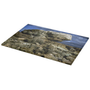 Planche À Découper Roche de champignons