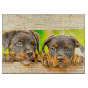 Planche À Découper Rottweiler Chien Chien Chien Chien Eau Couleur Hui