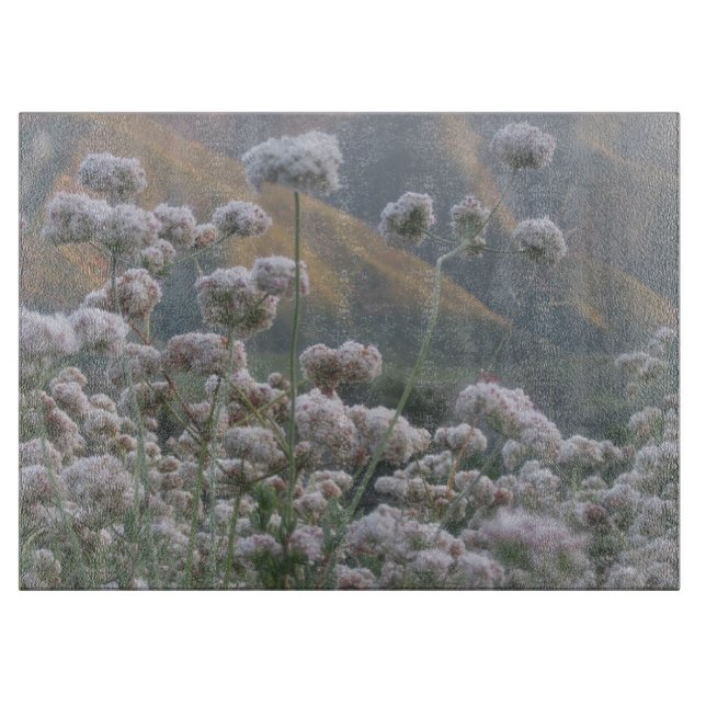 Planche À Découper Sarrasin de Californie (Devant)