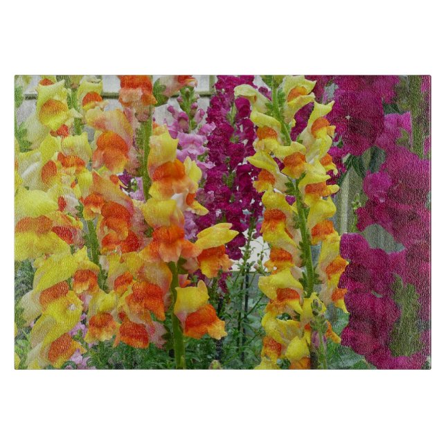 Planche À Découper Snapdragons colorés floraux (Devant)