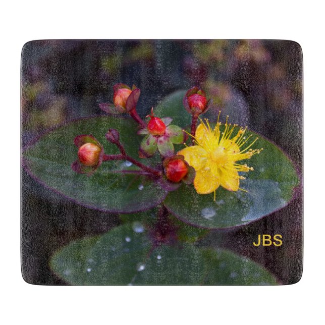 Planche À Découper St. John's Wort Fleur Jaune Personnalisée (Devant)