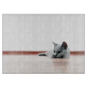 Planche À Découper SUPER CUTE Kitten Portrait Photographie