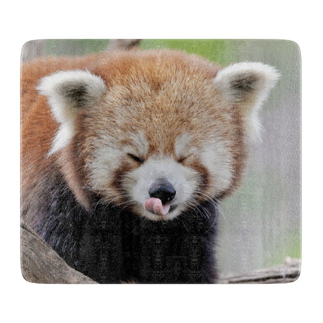 Planche À Découper Tableau de couture Photo panda rouge, animaux 0218 (Devant)