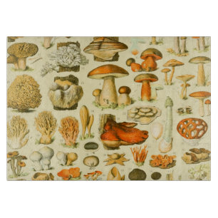 Planche À Découper Tabouret de toilette Vintage de champignons Illust