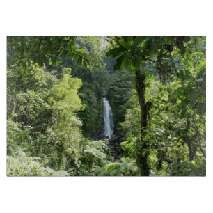 Planche À Découper Trafalgar Falls Tropical Rainforest Photographie