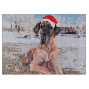 Planche À Découper Très Beau Chien Danse Assis Dans Le Casquette De N