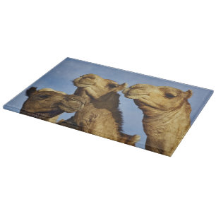 Planche À Découper Trio de chameaux, marché aux chameaux, Le Caire, É