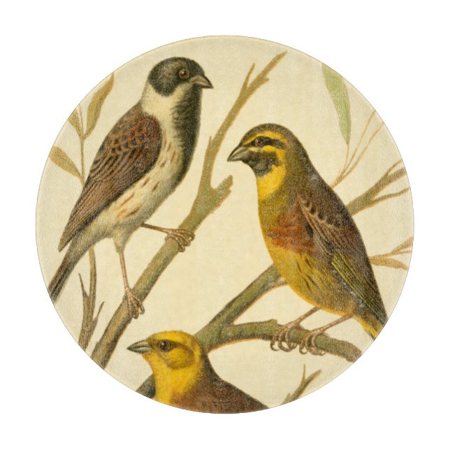 Planche À Découper Trois oiseaux domestiques perchés sur une branche (Devant)