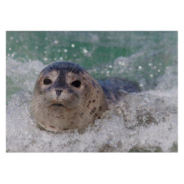 Planche À Découper Un bébé phoque surfant (Devant)
