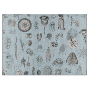 Planche À Découper Un bestiaire des protozoaires