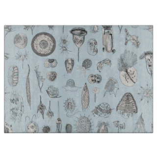 Planche À Découper Un bestiaire des protozoaires