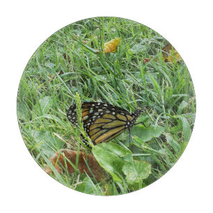 Planche À Découper Un papillon monarque