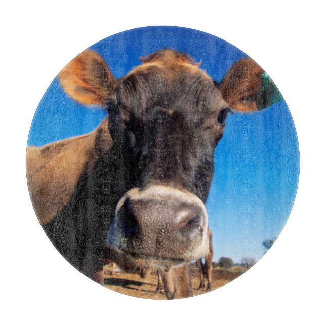 Planche À Découper Une vache jersey curieuse (Devant)