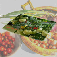 Verre photographique Tomates et fleurs