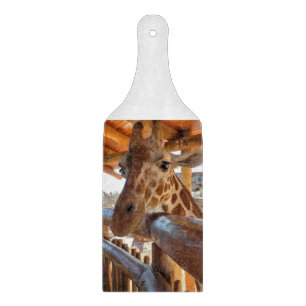 Planche À Découper Vert